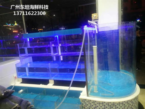 佛山海鮮池配件與玻璃魚(yú)缸 寵物水族配件的專業(yè)選擇指南
