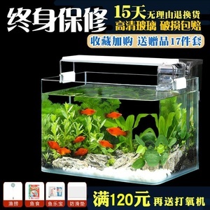 超白草缸 打造水底綠洲，從精選魚缸與寵物配件開始